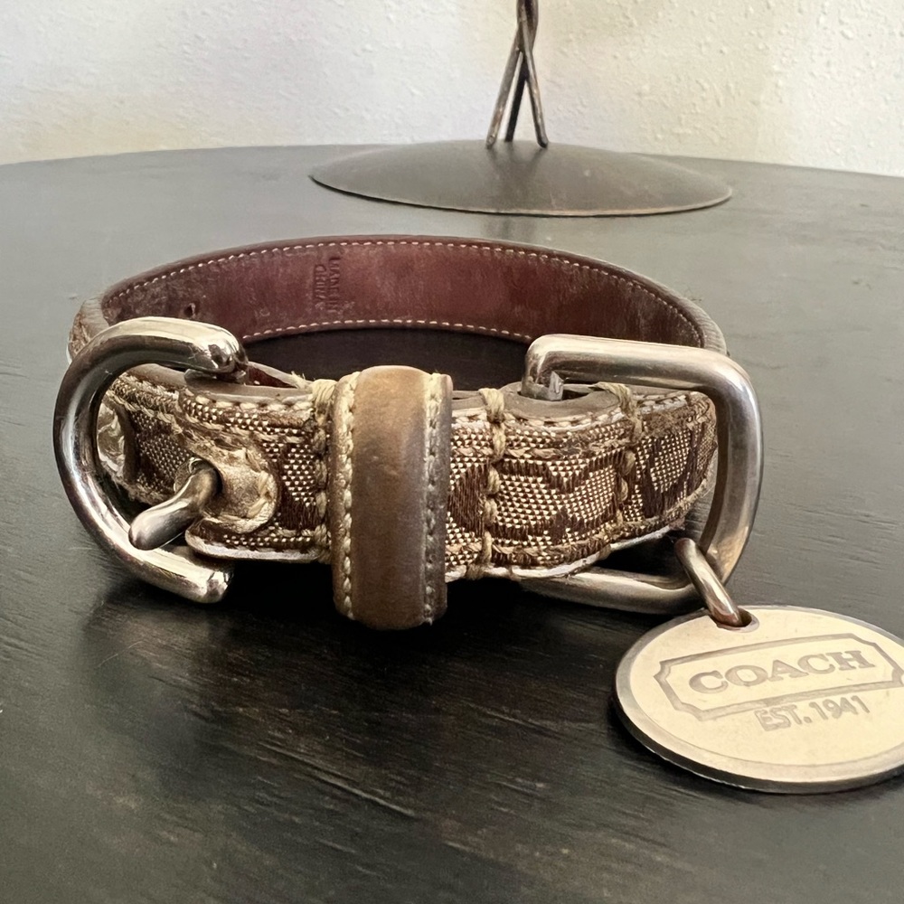 Coach XS dog collar